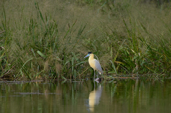Tauchurlaub